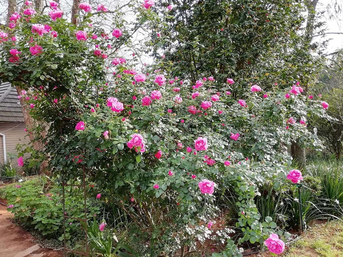 Star Lodge Sabie