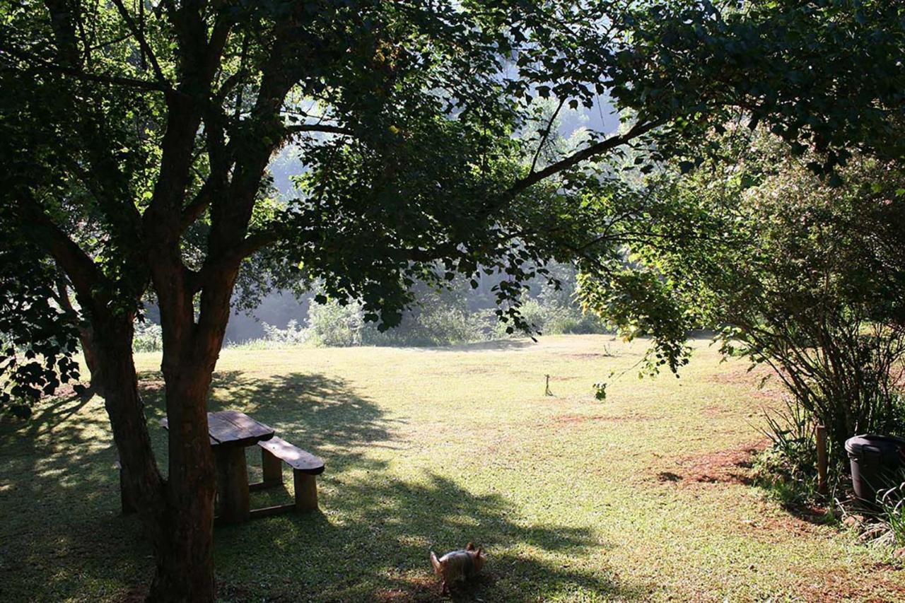 Star * Sabie